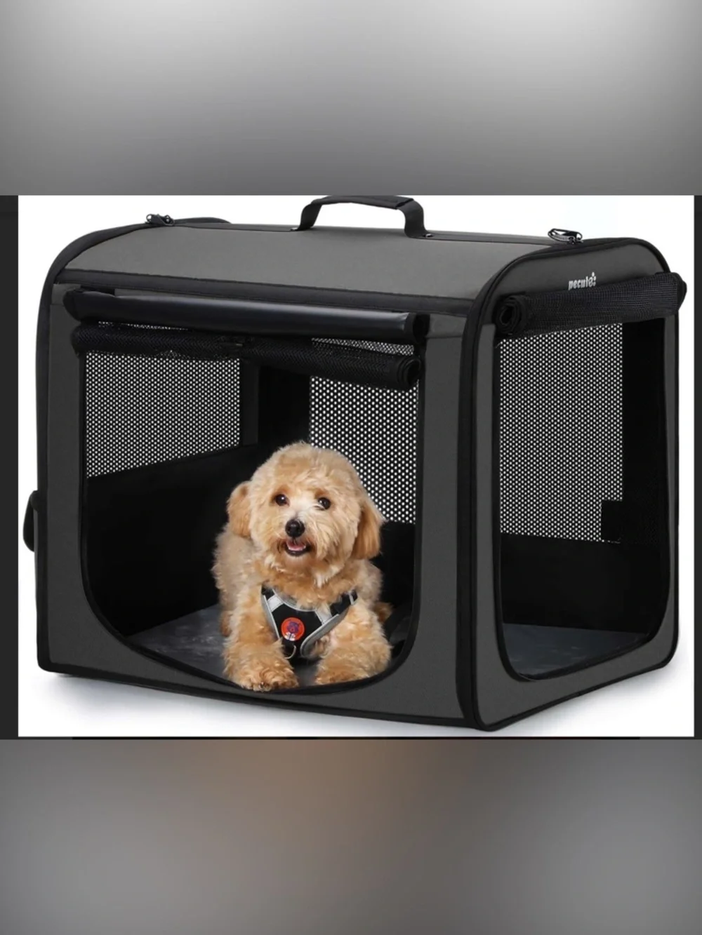 Dog Crate Carrier - Lightweight Portable Pet Crate